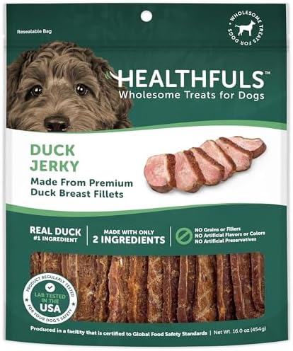 HEALTHFULS Real Duck Jerky Fillets, Grain-Free, Healthy Dog Treats, 16 oz