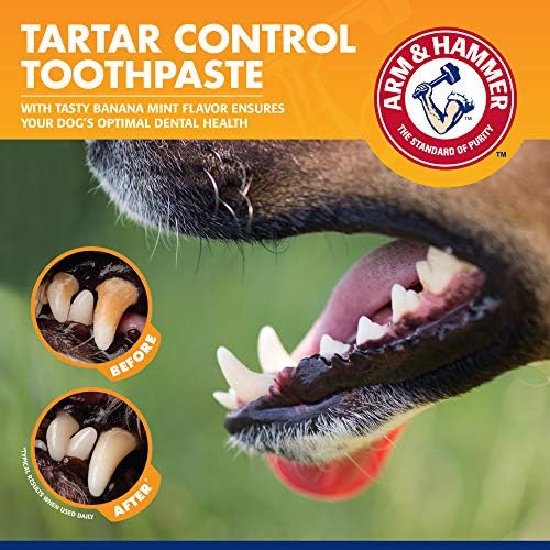 Arm & Hammer Tartar Control Dog Dental Kit, Banana Mint, 3-Piece, 48-Pack | Enzymatic toothpaste with toothbrush and fingerbrush, baking soda formula safe for puppies