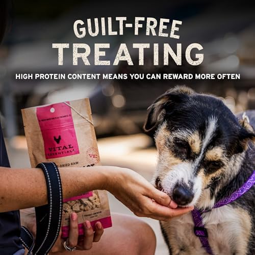 Vital Essentials Freeze Dried Bully Sticks Dog Treats, 1.4 oz Bag (3 Count)