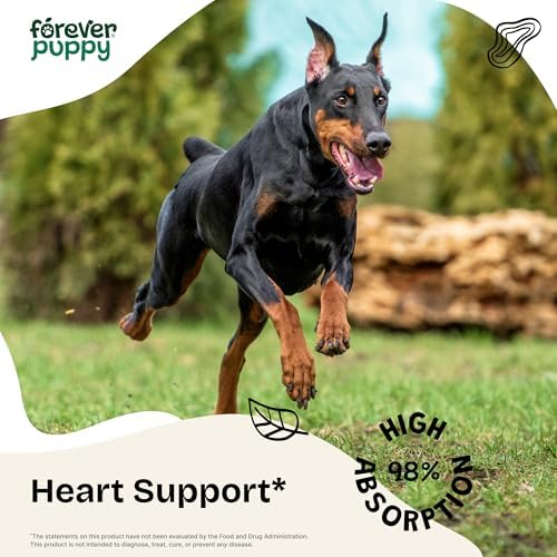 Forever Puppy Motherwort Drops for Dogs, 4 oz