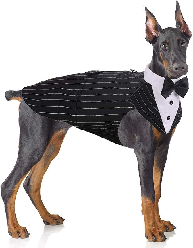 PUMYPOREITY Dog Tuxedo and Bandana Set, X-Large (Pack of 1), XL