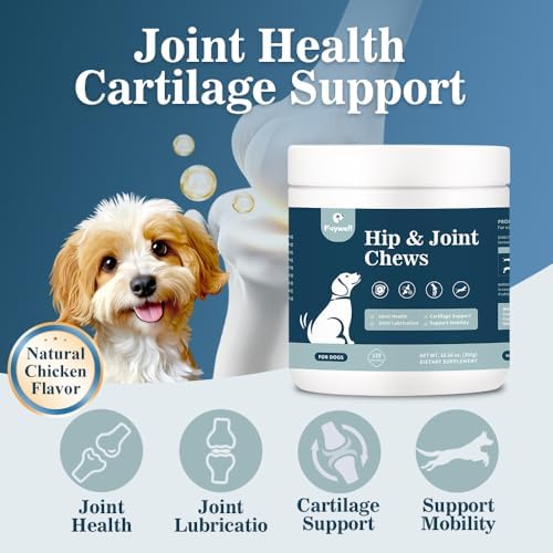 Hip & Joint Chews Supplement for Dogs, Glucosamine and Chondroitin for Joints Health and Muscle Recovery, 120ct/300g