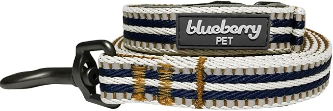 Blueberry Pet 3M Reflective Dog Leash - Soft & Comfortable Handle, Strong & Durable Nylon, Olive & Blue-Gray