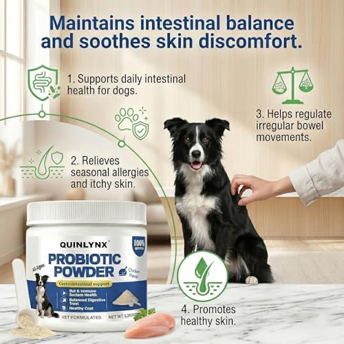 Natural Probiotic Powder for Dogs - Vet Formulated Digestive & Gut Health Supplement with 15 Probiotic Strains & 6 Billion CFU, Supports Immunity, Energy Levels, Skin and Coat Health, 30 Scoops