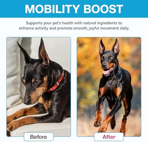 Dog Hip and Joint Supplement, Glucosamine for Dogs, Chondroitin Drops for Dogs, Pain Relief for Dogs, Dog Supplement for Joint Health, Mobility Pain Relief, Bacon Flavor-2 Oz/60ml