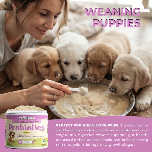 Puppy Probiotics and Dog Gut Health Powder - Immune System Supplement