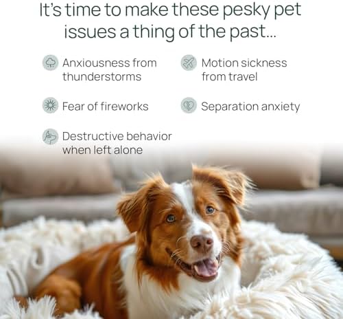 pawTree Chillax, Hemp, 60-Pack, Large