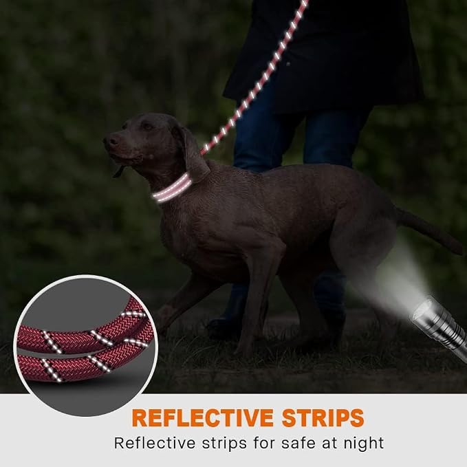 Taglory Rope Dog Leash for Medium Large Dogs, 6 FT Padded Handle, Pink | Climbing Rope for Strong Pullers, Reflective for Night Walks and Training, Comfortable Grip, Anti-tangle Swivel Clip 1/2 inch