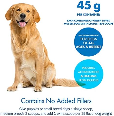 Green Lipped Mussel Powder for Dogs, All-Natural Hip & Joint Support Dietary Supplement Formula for Dogs (120 Servings)