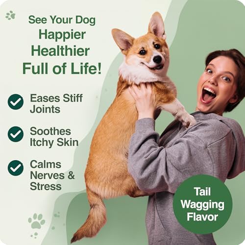 BAZI Hip & Joint Dog Chews – Glucosamine, Chondroitin, MSM, Turmeric & Collagen for Joint Health & Mobility – High-Potency Supplement for Dogs of All Breeds & Sizes – Active Lifestyle Support
