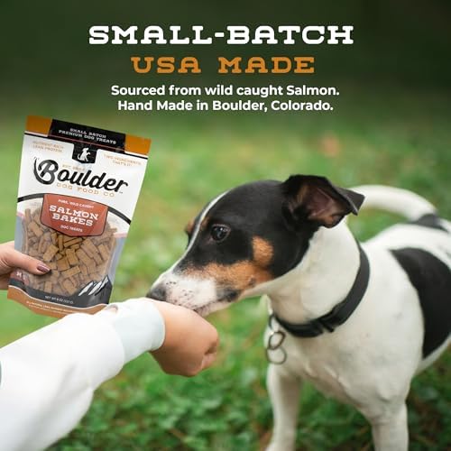 Salmon Bakes Grain Free Natural Dog Treats for Small to Large Breed - Low Calorie for Training - High Value, Healthy Dog Treats for Small, Medium & Large Dogs (16oz)