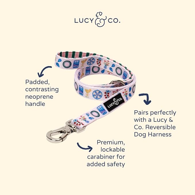 Lucy & Co. Dolce Vita Dog Leash, Durable Matching Dog Lead with Heavy Duty Hardware, Large