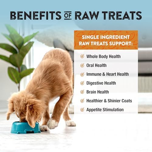 Northwest Naturals Raw Rewards Freeze-Dried Sweet Potato Treats - 2oz