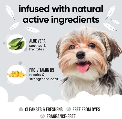 Buddycare Derma Sensitive Dog Shampoo with Aloe Vera and Pro Vitamin B5 (169.07oz)