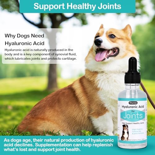 Hyaluronic Acid Joint Supplement for Dogs, Dog Hip and Joint Supplement, High Molecular Weight Natural Support for Dog Joint Health & Movement, Premium Dogs Essentials for Joint, Skin, Coat, Eye Care