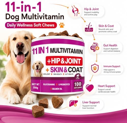 11 in 1 Dog Multivitamin Soft Chews, Daily Vitamins for Dogs with Glucosamine, Probiotics, Salmon Oil, Omega Fatty Acids, Hip & Joint Support, Skin & Coat Care, Gut Health Nutrition, Beef Flavor