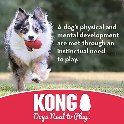 KONG Extreme Ball with Hole, Fetch Toy, Black, Large/Medium (Pack of 2) | Made from KONG's Most Durable Extreme Rubber, a Fetch Ball with a Hole for Training & Interactive Play