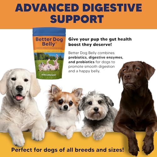 Better Dog Belly Probiotic Supplement for Digestive Health, Powder Prebiotics & Probiotics for Dogs, Supports Gut Health & Balanced Pet Nutrition, 8 Oz Bag