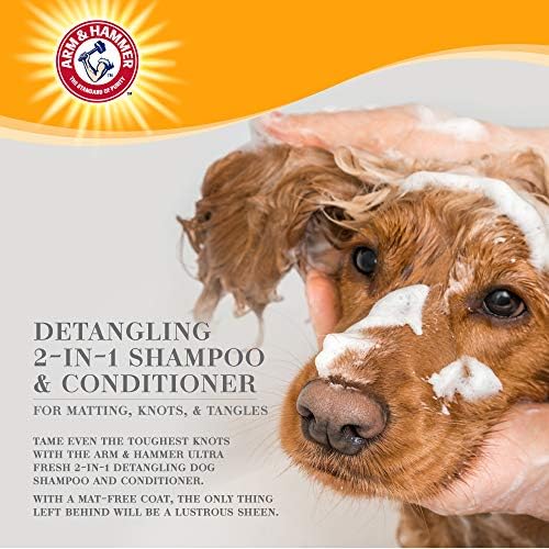Arm & Hammer Detangling Dog Shampoo, Cucumber Prickly Pear, 16 Fl Oz | 2-in-1 baking soda formula, moisturizing wash, suitable for dogs with tangled or matted coats