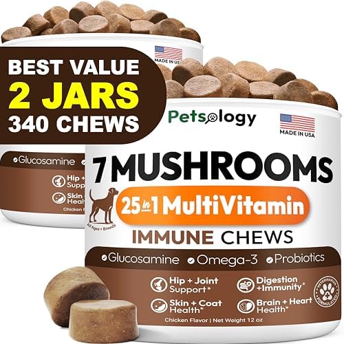 (2 Pack) Turkey Tail Mushroom for Dogs - 340 Chews - Mushrooms for Dogs | Lion’s Mane - Shiitake - Reishi - Buddy Immune Support Guard - Supplement for Dogs with Glucosamine, Vitamins Multivitamin