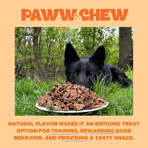 PAWW CHEW Beef Lung Dog Treats - Single Ingredient, High Protein, 5 LB