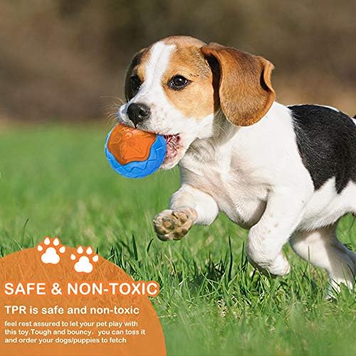 Dog Squeaky Pool Toy, Floating Interactive Fetch & Play, TPR