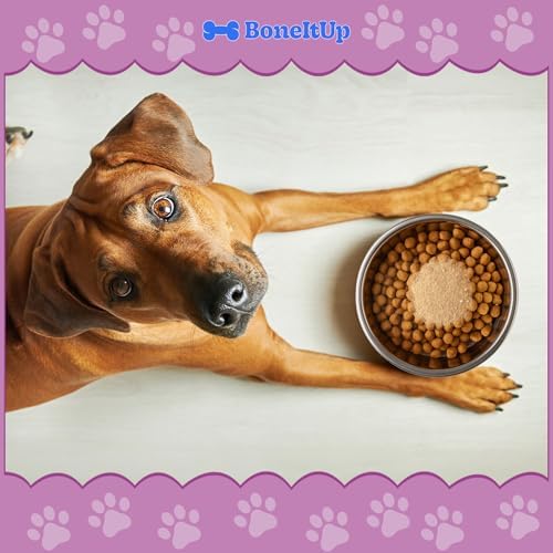 BoneItUp Dog Bone Broth Powder - Made with Real Beef & Chicken, Nutritious & Hydrating Dog Bone Broth Topper for Picky Eaters - Healthy Joints, Coat, Digestion Support (30 Servings)