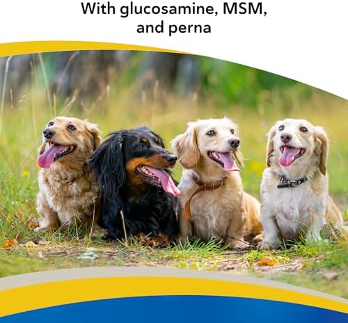 Doc Roy's Aches Away Mobility Support, Hip & Joint Soft Chews for Dog, 90ct