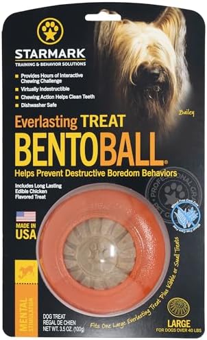 Starmark Everlasting Treat Bento Ball Tough Dog Chew Toy Large (Pack of 12)