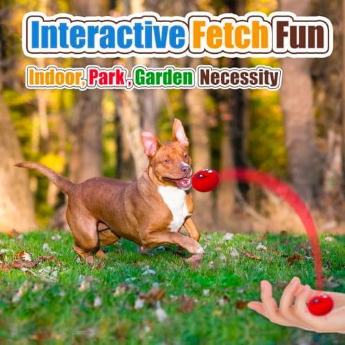 3.1" Squeaky Dog Toys for Large Dog, Medium Breed, Latex Flat Ball | 3.1"* 3.1"*1.8" Burger shape 4-Pack, Soft Squeaky Dog Balls, Natural Rubber Squeak Toys with Squeaker for Indoor & Outdoor
