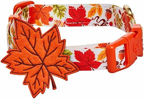 Blueberry Pet Thanksgiving Fall Maple Adjustable Dog Collar with Detachable Accessory, Small, Neck 12"-16"