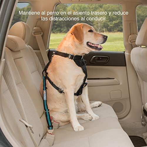Kurgo Direct to Seatbelt Tether, Coastal Blue