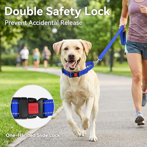 Joytale Martingale Collar for Dogs, Escape Proof No Pull, Navy Blue, M