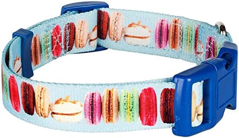 Blueberry Pet Essentials The Ultimate Macaroon Cake Adjustable Dog Collar, Medium, Neck 14.5"-20"