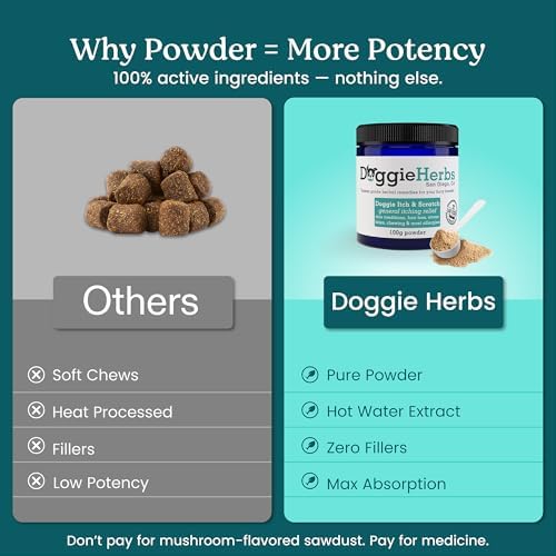 Natural Itch Relief & Allergy Support- TCM Herbal Powder for Hot Spots, Scratching & Yeast- Clears Damp Heat & Soothes Skin from Within- Human Grade, Doctor Formulated, 100% Natural