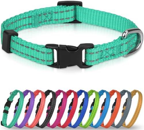 Joytale Feather-Light Puppy Collar for Extra Small Dogs, 3/8", Turquoise