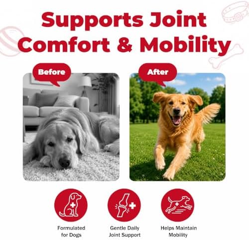 Dog Pain Relief, Dog Arthritis Pain Relief Support, Joint Pain Support for Dogs, Anti-Inflammatory Support for Mobility & Comfort, Helps Support Osteoarthritis Discomfort, Oral Suspension, 1.01 fl oz