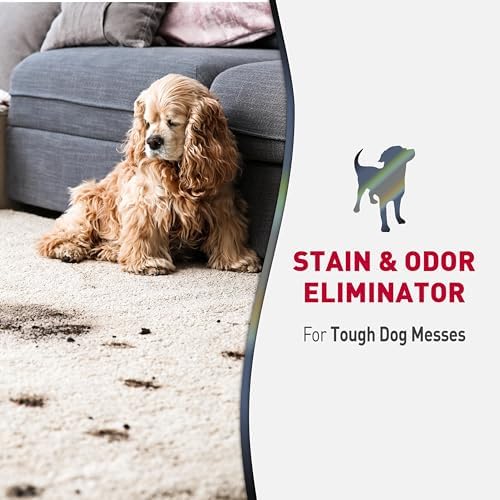 Nature’s Miracle Advanced Dog Stain & Odor Eliminator Foam, 17.5 oz (6 Pk)