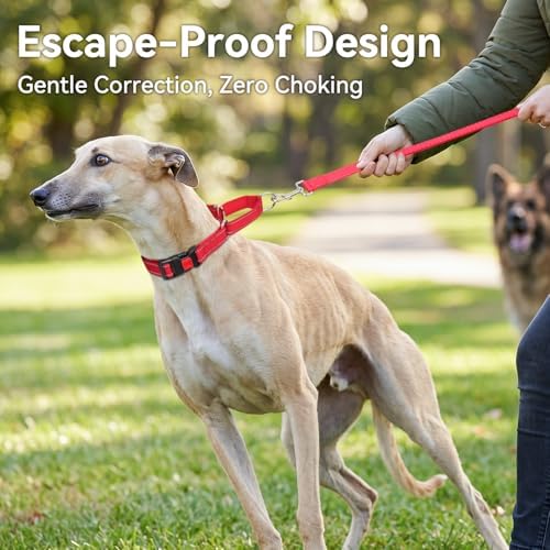 Joytale Martingale Collar for Dogs, Escape Proof No Pull, Red, M