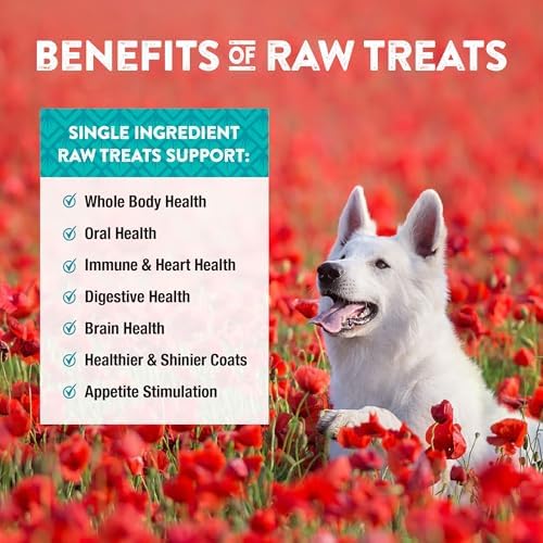 Northwest Naturals Raw Rewards Freeze-Dried Chicken Breast Treats - 10oz