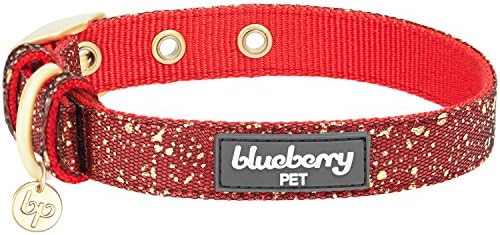 Blueberry Pet Gold Stamping Lace Adjustable Dog Collar in True Red, Neck 13-16.5", for Medium Breed