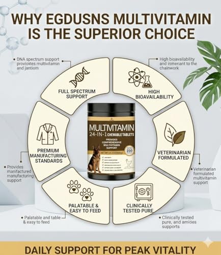 All-in-One Dog Multivitamin Chews 200Ct – with Salmon Oil, Turmeric & Probiotics for Joint, Immune & Skin Support, Vet-Approved Natural Chicken Flavor Soft Chews for All Breeds & Ages