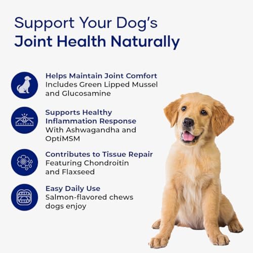 Hip and Joint Supplement for Dogs with Glucosamine Chondroitin MSM and Ashwagandha | Dog Joint Supplement Soft Chews for Mobility and Cartilage Support | Pack of 2
