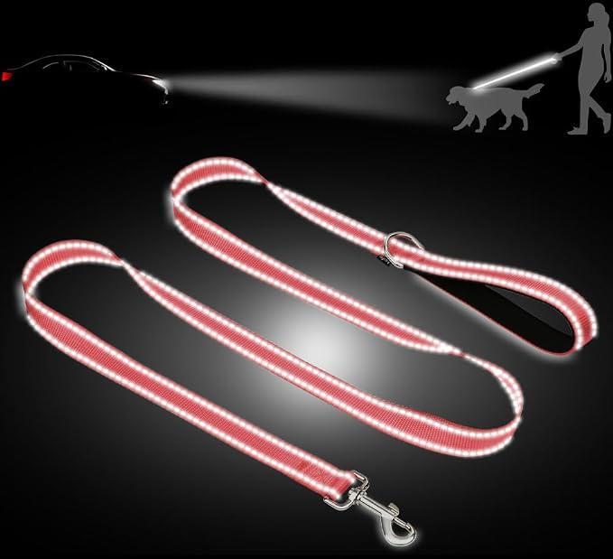 Taglory 10"-16" Dog Collar and 6 FT Dog Leash Set, Highly Reflective Threads Dog Leash, Adjustable Reflective Dog Collar with Safety Locking Buckle for Small Dogs