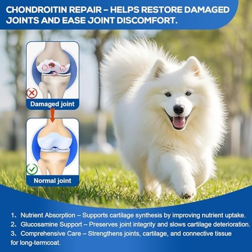 Dog Joint & Hip Support Supplement – Glucosamine, MSM & Chondroitin Tablets for Joint Pain Relief, Mobility & Cartilage Health, Duck Flavor, 90 Count