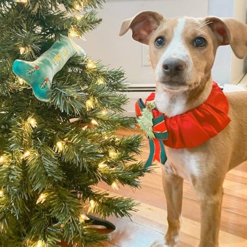 Blueberry Pet Festival Fever Christmas Tree Dog Collar Cover – Holiday Decorative Accessory Fits Small, Medium & Large Dog Collars
