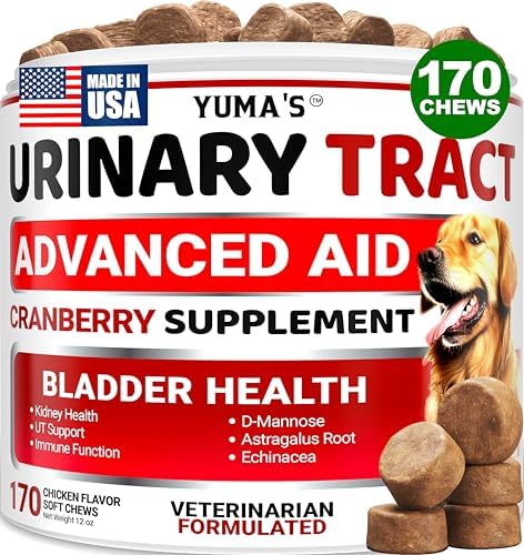 Cranberry Supplement for Dogs - 170 Chews - Dog UTI & Bladder Support | Urinary Tract Health, Vet-Formulated Multivitamin Chews with D-Mannose, Immune Support, Vitamins and Supplements, Made in USA