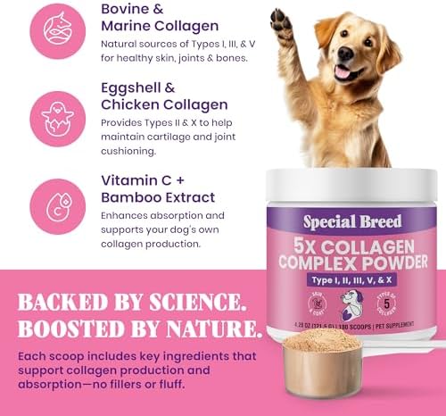 Premium 5X Collagen Powder for Dogs - Types I, II, III, V & X - Skin, Join, Gut & Coat Support - Collagen Powder with Bamboo & Vitamin C, 180 Scoops 4.28 oz