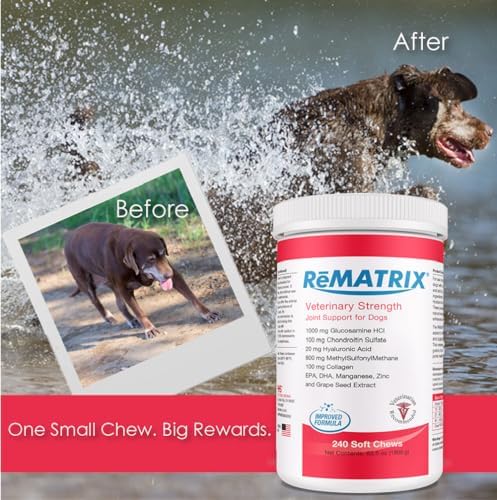 ReMATRIX Joint Support Supplement for Dogs - Glucosamine, Chondroitin, MSM, Omega-3 - Hip and Joint Pain Relief and Support for Dogs - Made in USA - 240 Soft Chews