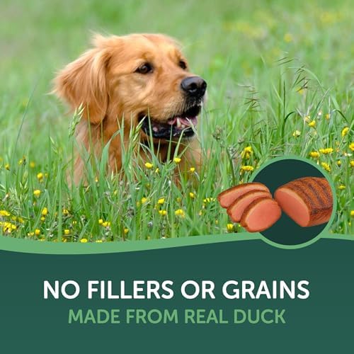 HEALTHFULS Real Duck Jerky Fillets, Grain-Free, Healthy Dog Treats, 16 oz